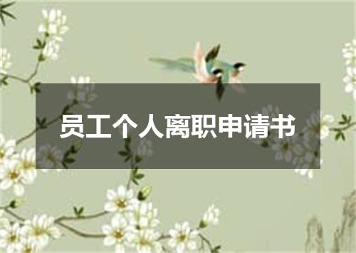 员工个人离职申请书