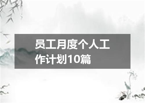 员工月度个人工作计划10篇