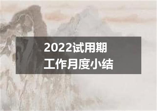2022试用期工作月度小结
