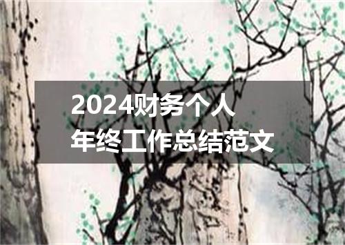2024财务个人年终工作总结范文