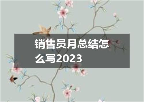 销售员月总结怎么写2023