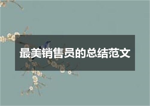 最美销售员的总结范文