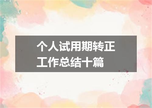 个人试用期转正工作总结十篇