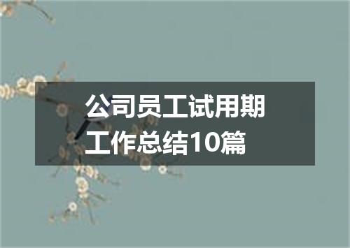 公司员工试用期工作总结10篇