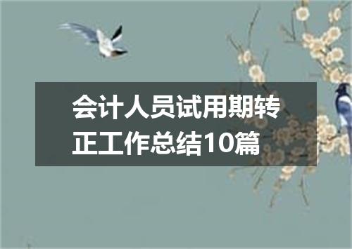 会计人员试用期转正工作总结10篇