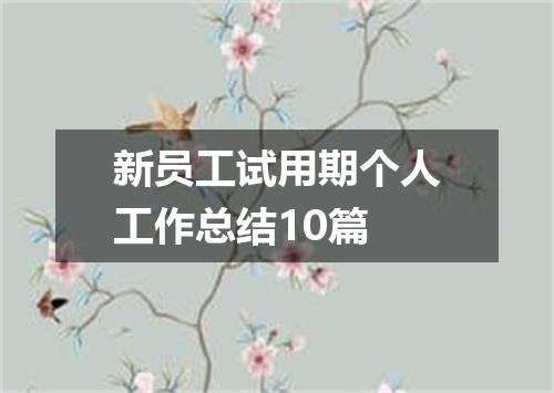 新员工试用期个人工作总结10篇
