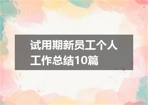 试用期新员工个人工作总结10篇