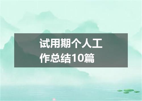 试用期个人工作总结10篇