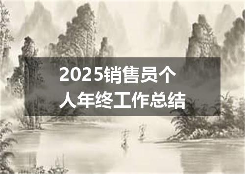 2025销售员个人年终工作总结