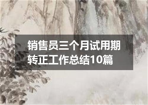 销售员三个月试用期转正工作总结10篇
