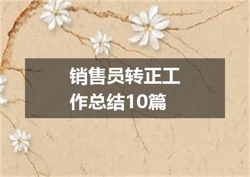 销售员转正工作总结10篇