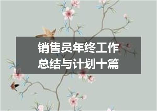 销售员年终工作总结与计划十篇