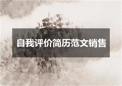 自我评价简历范文销售