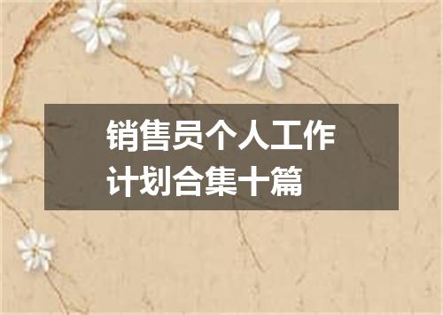 销售员个人工作计划合集十篇