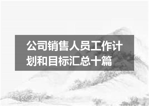公司销售人员工作计划和目标汇总十篇