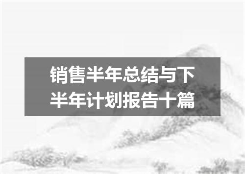 销售半年总结与下半年计划报告十篇