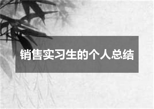 销售实习生的个人总结