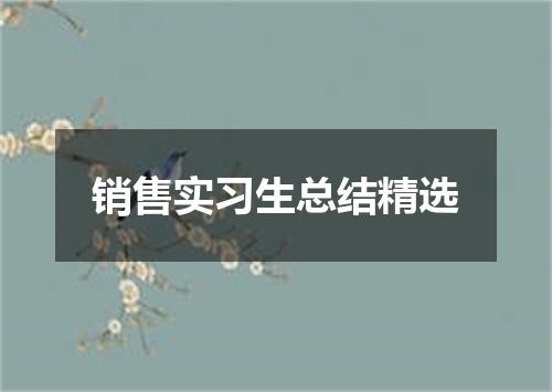 销售实习生总结精选