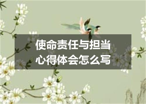 使命责任与担当心得体会怎么写