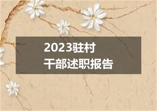 2023驻村干部述职报告