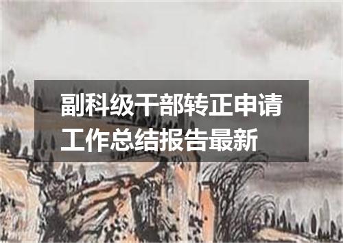副科级干部转正申请工作总结报告最新