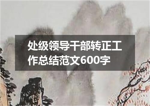 处级领导干部转正工作总结范文600字