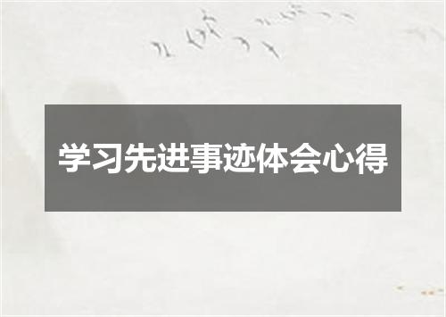学习先进事迹体会心得