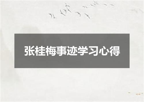 张桂梅事迹学习心得