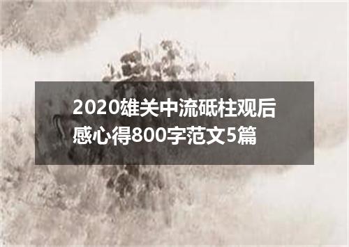2020雄关中流砥柱观后感心得800字范文5篇