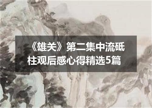 《雄关》第二集中流砥柱观后感心得精选5篇