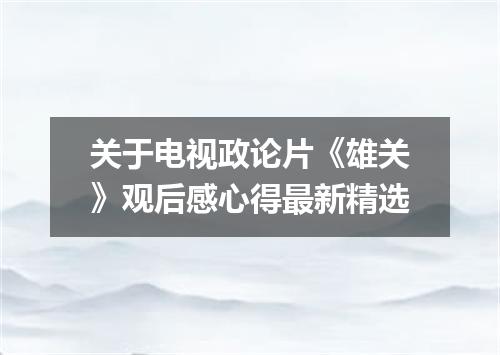 关于电视政论片《雄关》观后感心得最新精选