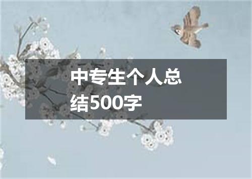 中专生个人总结500字
