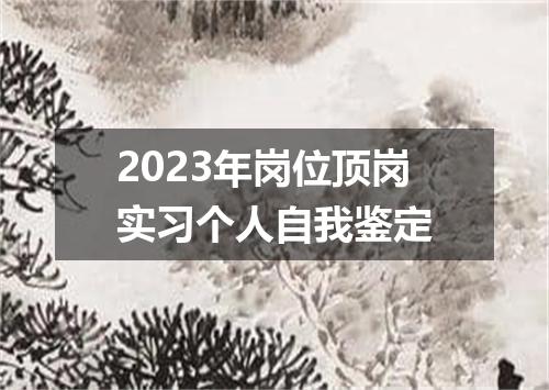 2023年岗位顶岗实习个人自我鉴定