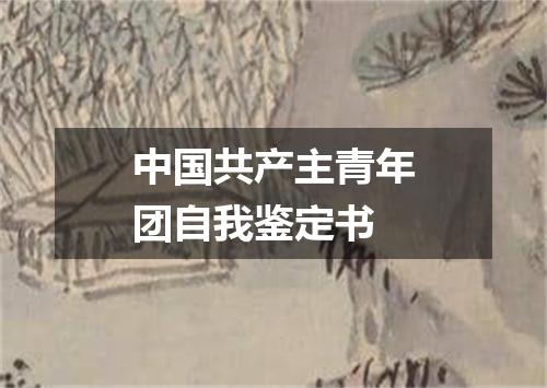 中国共产主青年团自我鉴定书