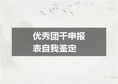 优秀团干申报表自我鉴定