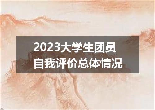 2023大学生团员自我评价总体情况