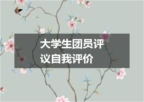 大学生团员评议自我评价