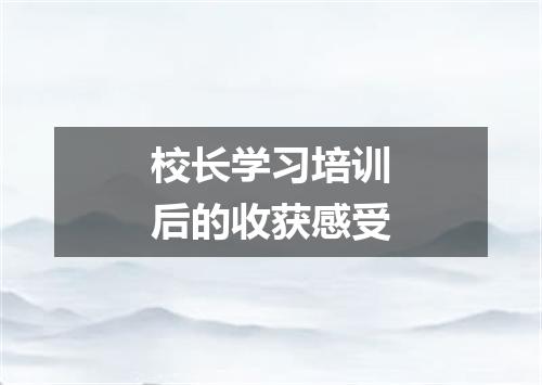 校长学习培训后的收获感受