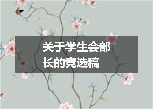 关于学生会部长的竞选稿