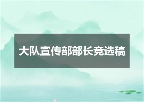 大队宣传部部长竞选稿