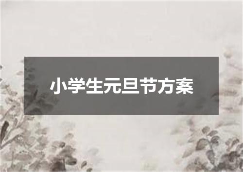小学生元旦节方案
