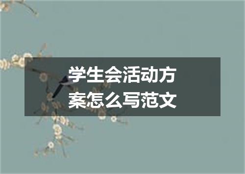 学生会活动方案怎么写范文