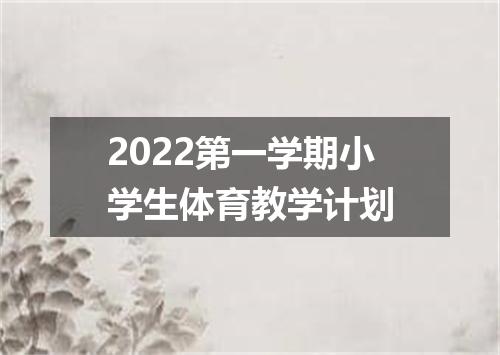 2022第一学期小学生体育教学计划