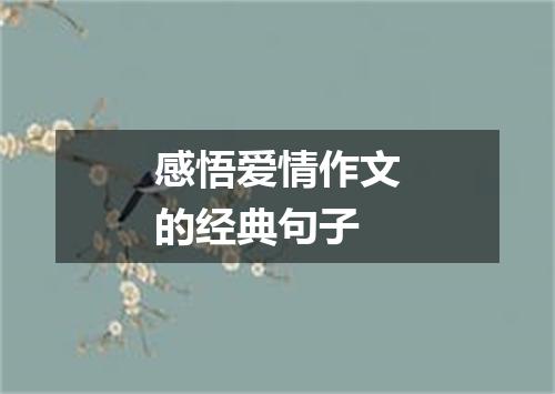 感悟爱情作文的经典句子