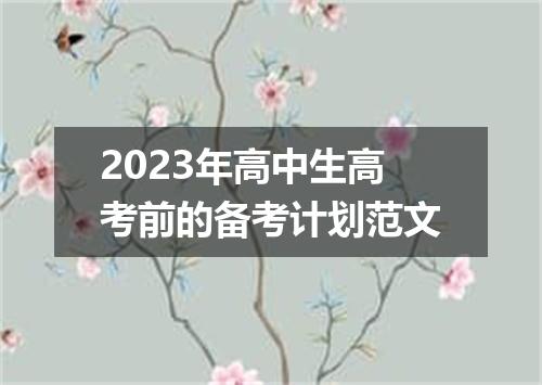 2023年高中生高考前的备考计划范文
