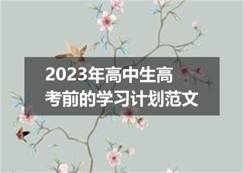 2023年高中生高考前的学习计划范文