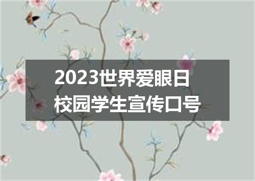 2023世界爱眼日校园学生宣传口号