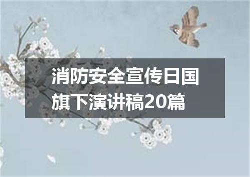 消防安全宣传日国旗下演讲稿20篇