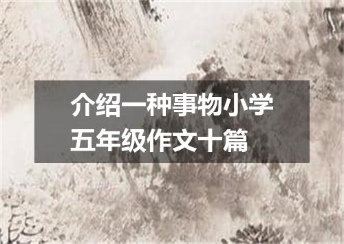 介绍一种事物小学五年级作文十篇