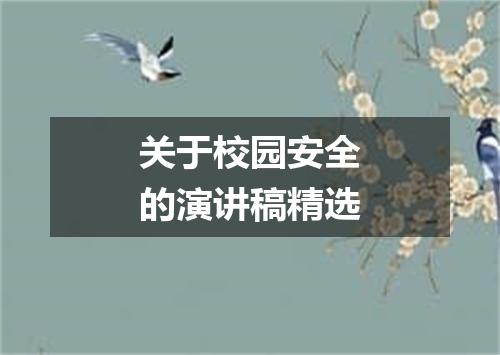 关于校园安全的演讲稿精选
